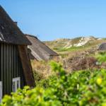 Thatched roof, green facade, sand dunes in background