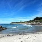 Beach with rocks and waves, blue sky, coastal road with trees and stones.