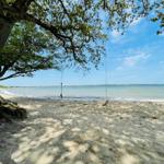 Swing under a tree on the beach with a view of the sea.