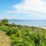 Path through green areas to the coast with a view of the sea.