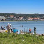 Beach with bathers and view of coastal town with houses and trees.