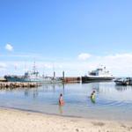 Two children are swimming in the harbor. Ships and a dock are visible in the background.
