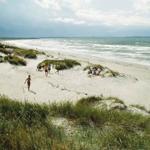 Beach with sand dunes and people walking or sunbathing near the water.