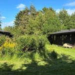 Two dark wooden houses with garden and trees under blue sky.