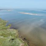 Aerial view of a riverbank with grassland and sandy shoreline area.