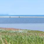 Two people stand on a sandy island between two bodies of water. Foreground: green grass.