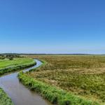 Ein Fluss schlängelt sich durch eine grüne Landschaft unter blauem Himmel.