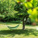 Grüner Hängemattenschatten unter Bäumen im Garten mit Schaukel.