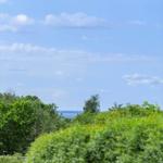 Blick auf einen See hinter grünen Bäumen und Sträuchern unter blauem Himmel mit weißen Wolken.