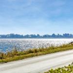 Eine Straße entlang eines Sees mit Gras und Bäumen im Hintergrund.