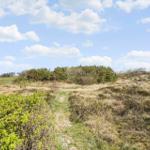 Weg durch Grasland mit Sträuchern unter blauem Himmel mit Wolken.