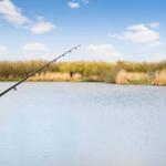 Fischerstange am See mit Blick auf Ufervegetation und blauen Himmel.