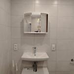 Badezimmer mit Waschbecken, Spiegelschrank und Toilettenpapierhalter.