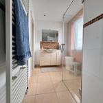 Badezimmer mit Dusche, Waschbecken und Heizkörper