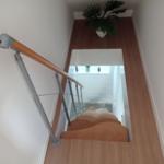 Holztreppe mit Handlauf und Glasbrüstung. Pflanze an der Wand.
