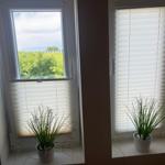 Zwei Fenster mit Jalousien und Pflanzen auf den Sitzflächen. Draußen ist Grün und Himmel sichtbar.