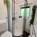 Badezimmer mit Dusche, Toilette und Fenster. Grüne Pflanzen an den Wänden.