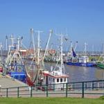 Dornumersieler Hafen...