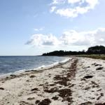 Strand mit weißem Sand und Wellen. Im Hintergrund sind Bäume und ein blauer Himmel mit Wolken.