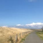 Beste Fahrradwege auf der ganzen Insel.