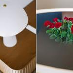 Weiße Lampe auf Holzoberfläche. Rote Rosen auf dunkler Tischplatte.