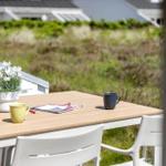 Holztisch mit zwei Tassen, Pflanze und Würfeln auf einer Terrasse mit Grünfläche im Hintergrund.