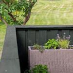 Terrasse mit Pflanzenkasten und blühendem Strauch im Hintergrund.