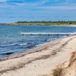 Strand mit weißem Steg ins Wasser, Sandufer und Grasbewuchs