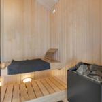Sauna with wooden bench, stone stove, and ceiling light.