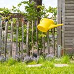 Gelber Gießkanister hängt an einem Holzzaun neben einem Garten mit Gras und Blumen.