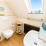 Badezimmer mit Dusche, WC, Waschbecken und Dachfenster.