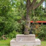 A tree stands on a wooden platform in the garden. A red building is visible in the background.