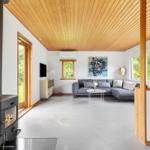 Living room with wooden ceiling, wood stove, and gray sofa