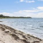 Strand mit Sand und Algen, Wasser wellig, bewaldeter Hügel im Hintergrund unter blauem Himmel.