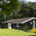 Black wooden house with white roof trim, surrounded by grass and trees.