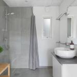 Bathroom with shower, sink, and plant.