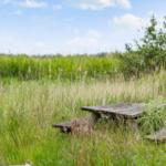 Holzpicknicktisch in einer grünen Wiese unter blauem Himmel mit Wolken.