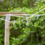 Wäscheleine mit bunten Klammerhaken im Garten