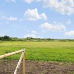 Green field with wooden fence and blue sky with white clouds.