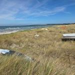 Strand mit Segelbooten und Grashügeln unter blauem Himmel