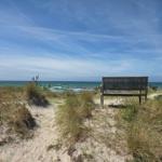 Holzbank auf Sanddüne mit Blick auf das Meer und blauen Himmel.