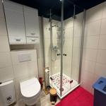 Badezimmer mit Dusche, WC und Aufbewahrungskabinen an der Wand.