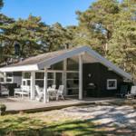 Hütte mit Terrasse, Gartenmöbeln und Grill. Umgeben von Nadelbäumen.
