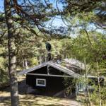 Schwarze Hütte mit weißem Dachrand, umgeben von Bäumen und Sträuchern.