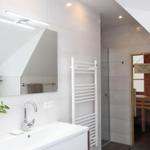 Badezimmer mit Dusche, Spiegelschrank und Heizkörper. Sauna im Hintergrund.