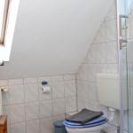 Badezimmer mit Dusche, Toilette und Dachfenster. Wandfliesen und Holztür.