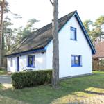 Ein weißes Haus mit blauen Fensterrahmen und einem dunklen Dach steht im Wald.