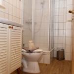 Badezimmer mit Toilette, Dusche und Waschbecken mit Holzfußboden.