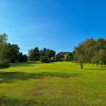 Großes Grünfeld mit Bäumen und Haus im Hintergrund unter blauem Himmel.