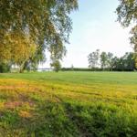 Grünes Feld mit Bäumen und Blick auf einen See